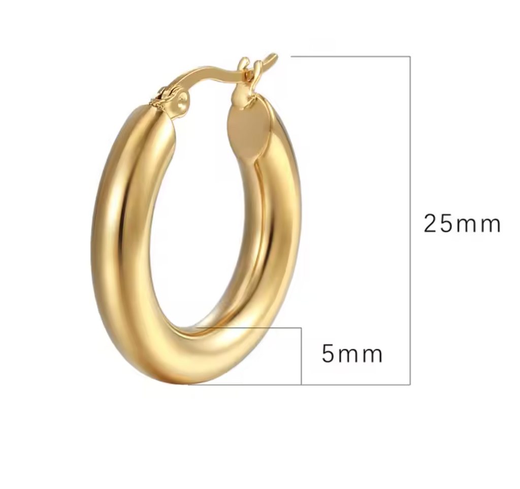 Stainless Steel Thick Hoop Earrings for Women